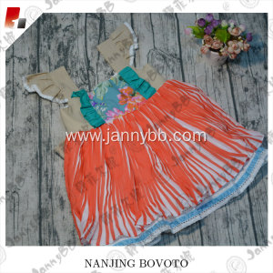 wholesale JannyBB girls smocking dress